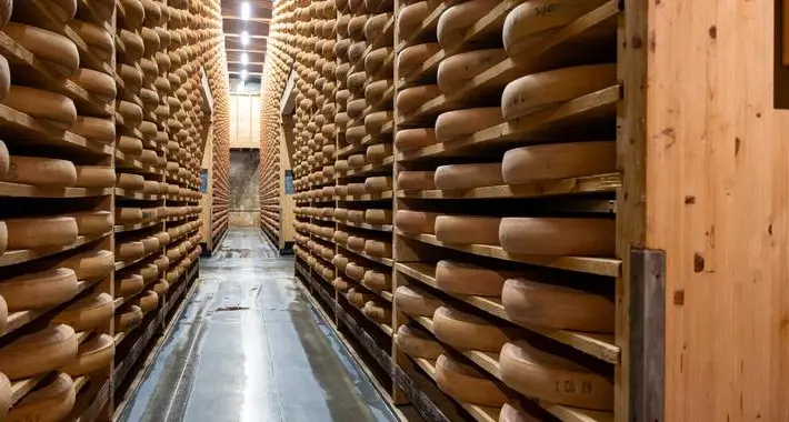 Mangia formaggio a latte crudo, bambino di 9 anni in ospedale