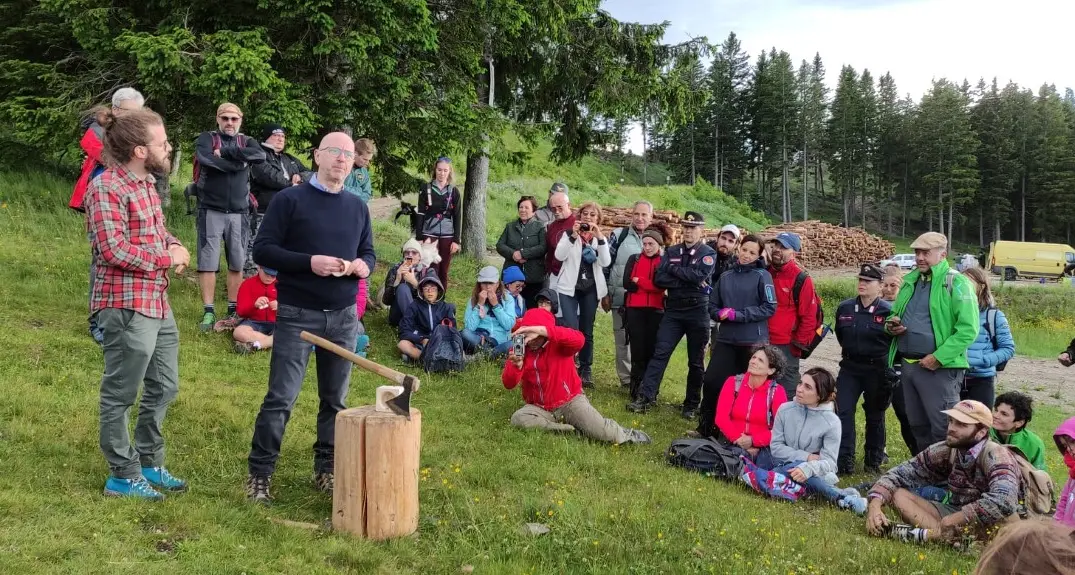 Piantati 200 alberelli sulla Panarotta. L’iniziativa di Asuc di Pergine e Piné coinvolge la popolazione