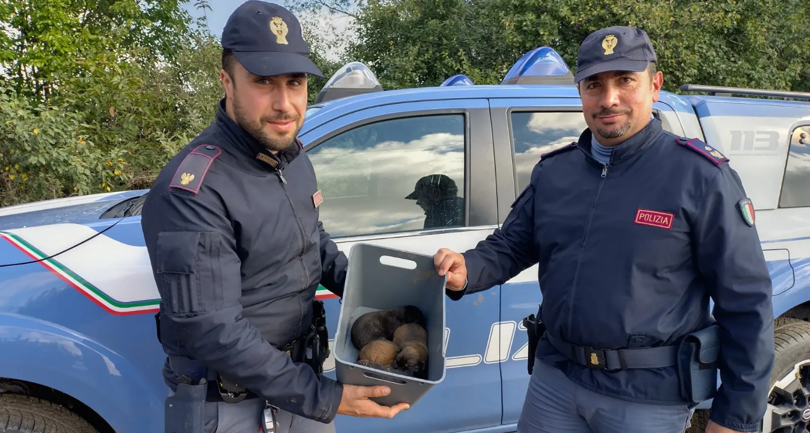 Da Riva del Garda alla Romania, quando il soccorso agli animali non conosce frontiere