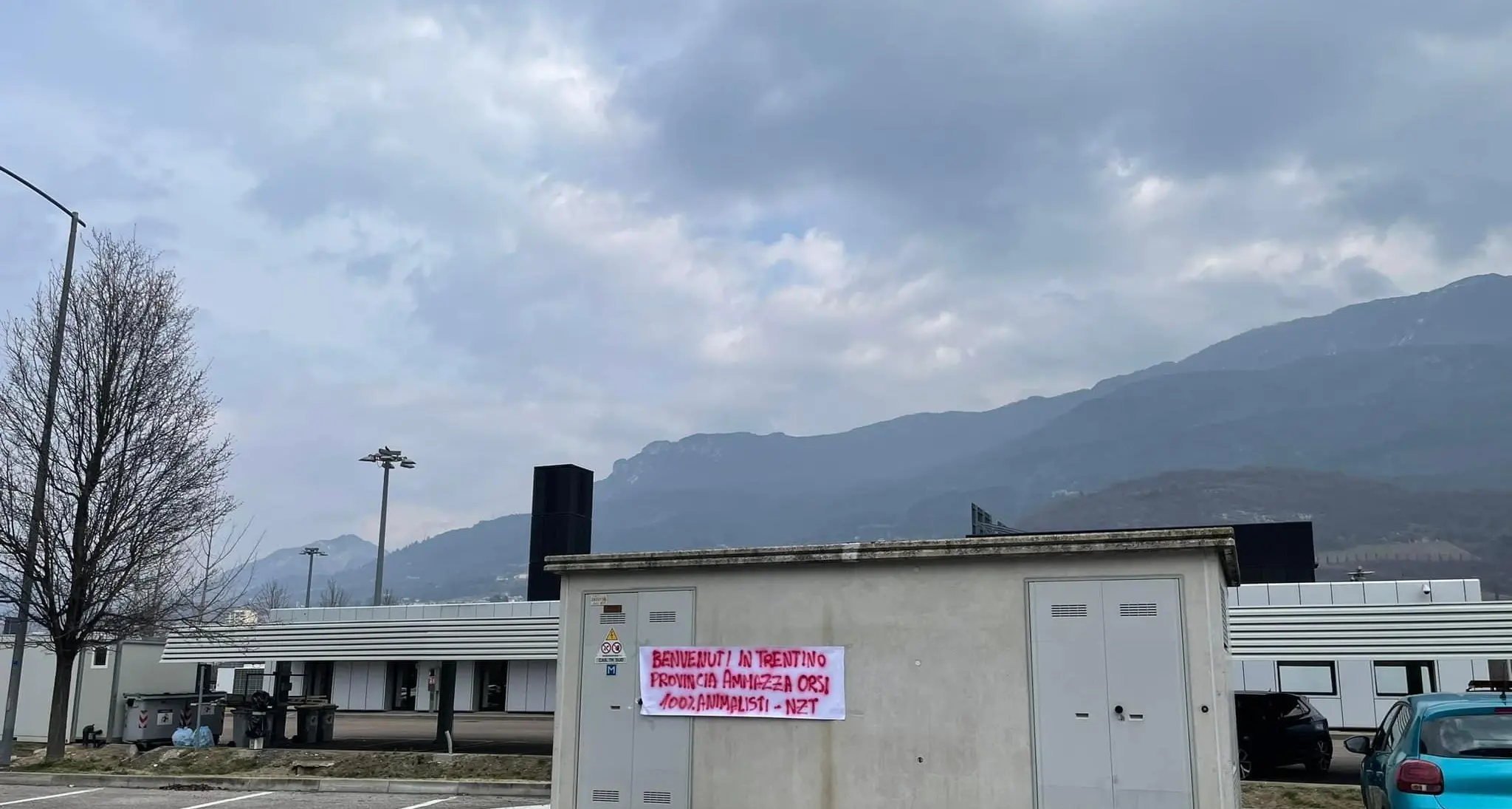 Squadra con i cani per individuare l’orso che ha aggredito Cicolini: potrebbe essere stata una femmina con i cuccioli