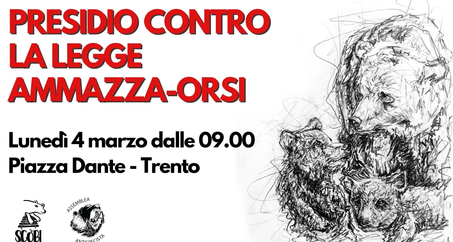 Gli attivisti pro-orsi: «Abbiamo ricevuto misure restrittive e denunce da parte delle istituzioni»