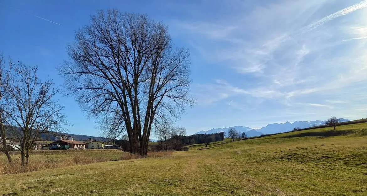 Cavareno: il rio è inquinato e la Provincia firma l'intesa per un laghetto naturalistico che lo tuteli