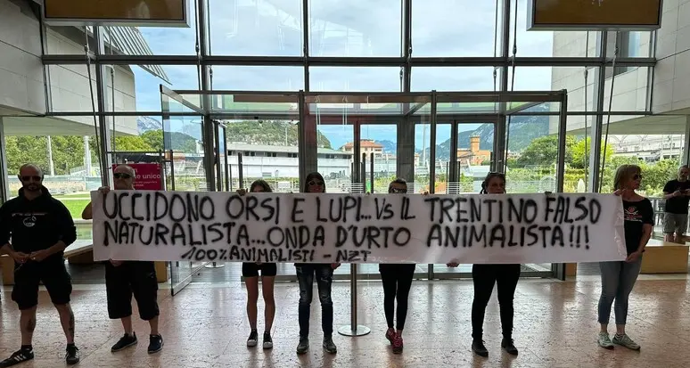 Trento, irruzione degli animalisti al Muse: protesta contro l’abbattimento di orsi e lupi