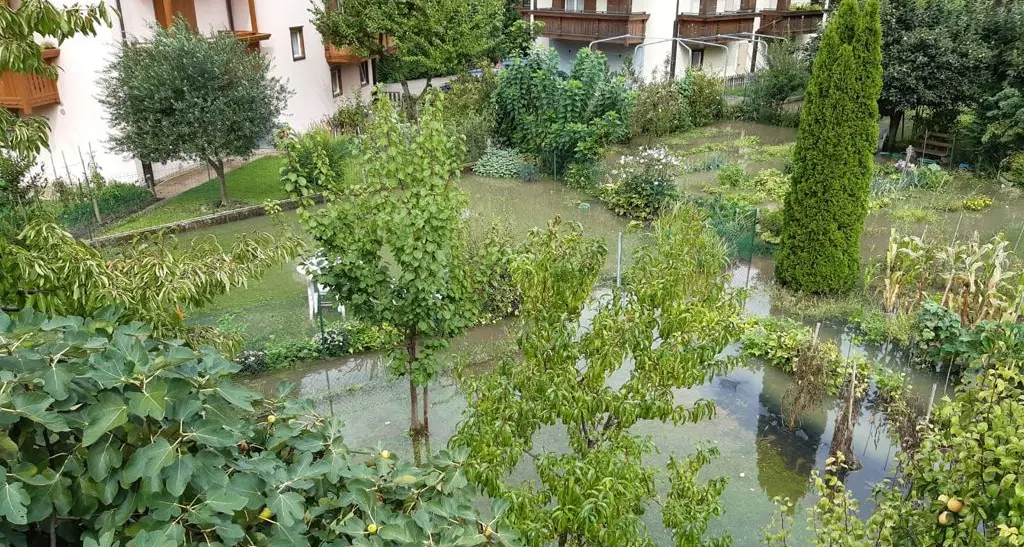 Orti, giardini e garage invasi dall’acqua: a Nave San Rocco scatta la protesta degli abitanti