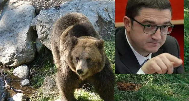 Orsi in Trentino, 61 ricorsi e 140 pronunce sulla gestione. Fugatti: «Non ci lasciamo intimorire: prima la sicurezza»