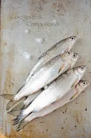 Coregone, domenica 22 a Salò la manifestazione dei pescatori