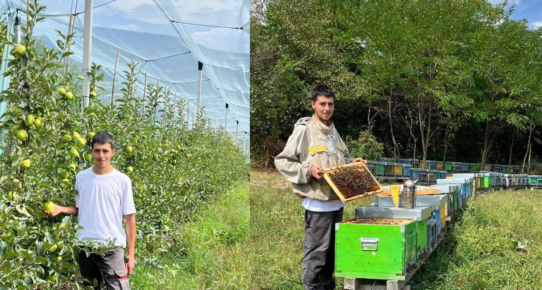 Michele Gabriele Rizzi, una vita nei campi di Cloz tra frutta e api