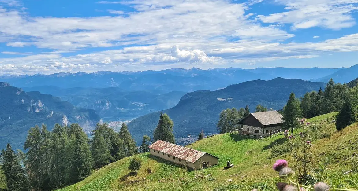Agricoltura trentina: sei nuovi provvedimenti dedicati
