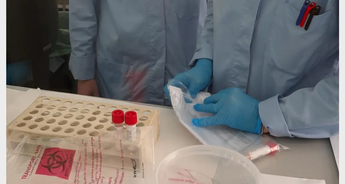 Coronavirus, in Trentino una vittima e 316 nuovi casi positivi