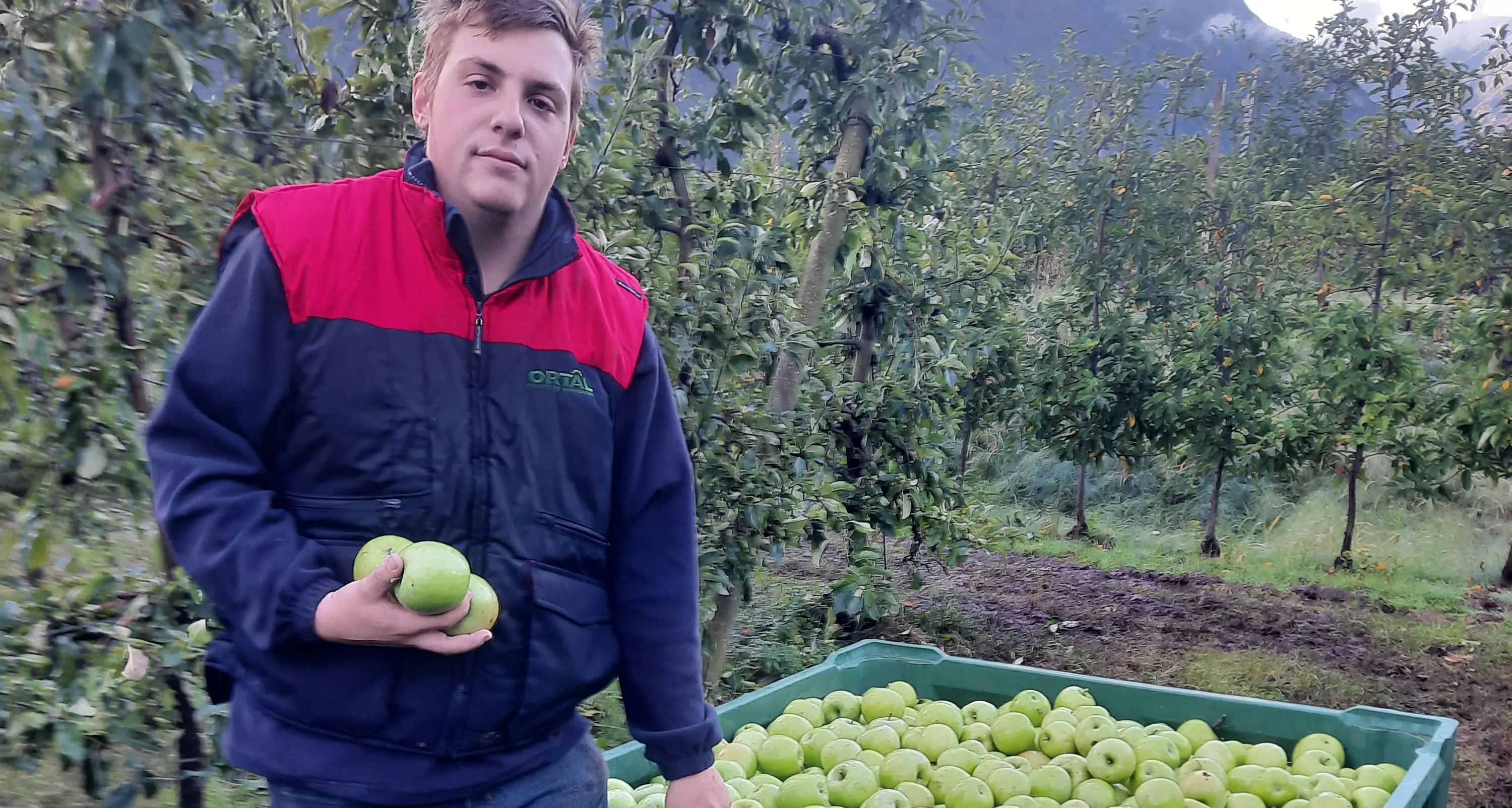 Giovani agricoltori, la storia di Jacopo Coser