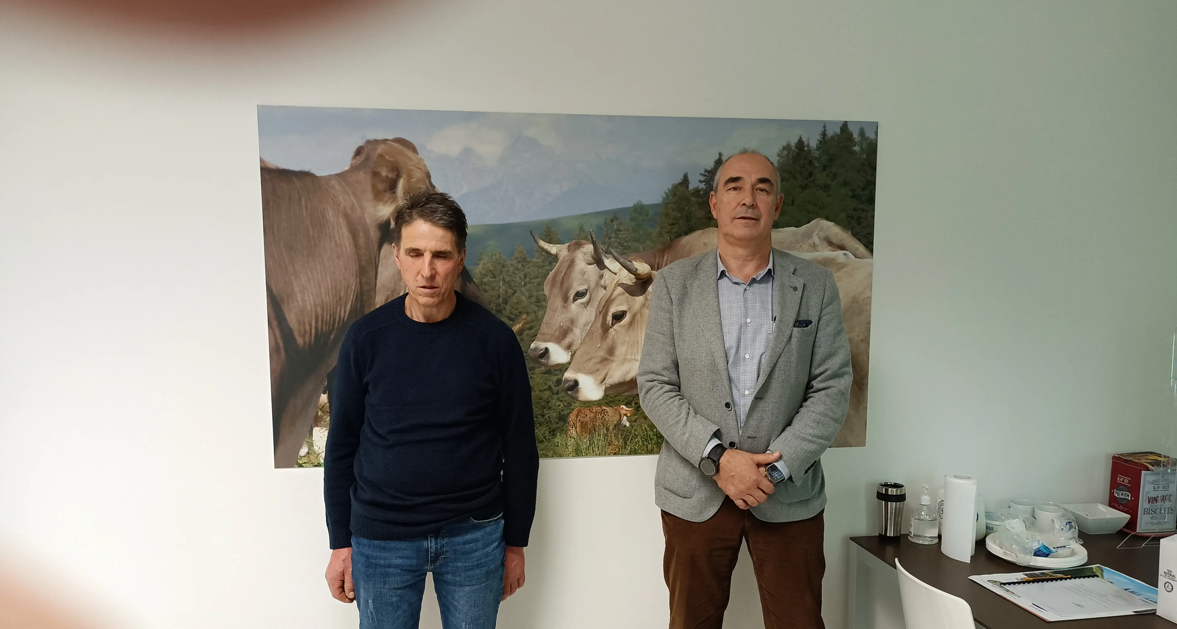 Latte Trento, produzione in calo ma ottimismo sulla remunerazione ai soci