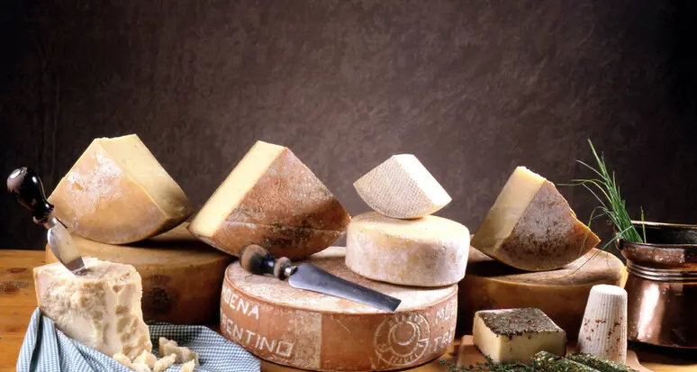 Concast: «Ci siamo concentrati sulla salubrità dei formaggi, più che chiudere un caseificio o lasciarlo fuori dalla produzione»