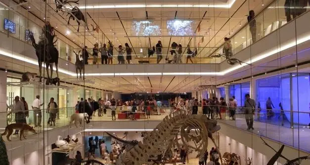 Muse di Trento, in dieci anni quattro milioni di presenze: box e biglietto speciale per le classi e gli insegnanti della scuola Nicolodi