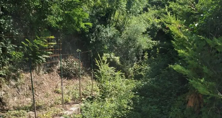 Gardolo, gli abitanti nelle case sulla roggia: «Temiamo un’esondazione»
