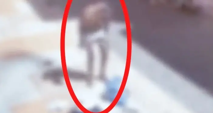 «Uomo nudo in via Mazzini», Moranduzzo attacca Ianeselli sulla sicurezza