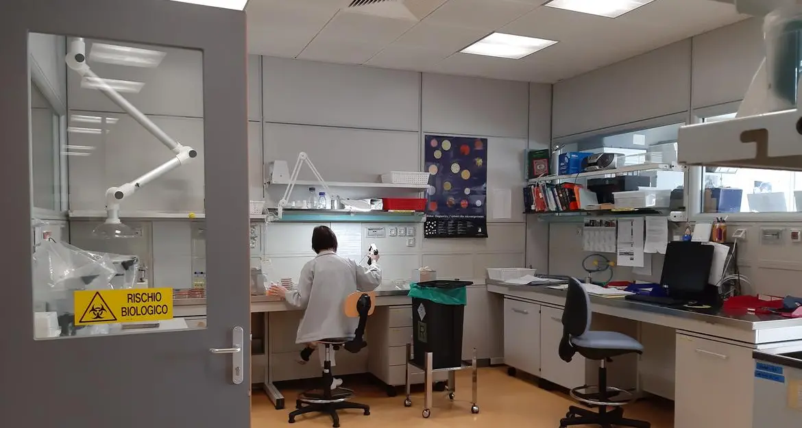 Dipendenti dell’Apss intossicati a Rovereto: «Probabile gastroenterite virale da norovirus»