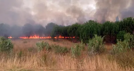 Accusato di aver appiccato 50 incendi, condannato a 9 anni