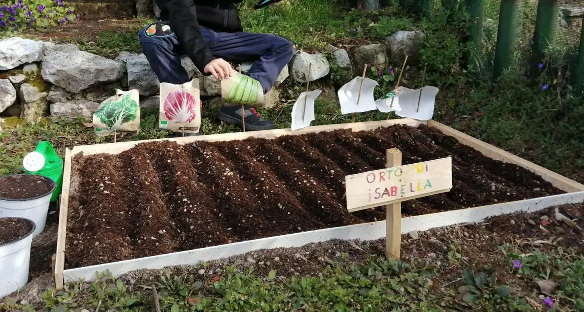 Orti didattici nelle scuole materne del Trentino