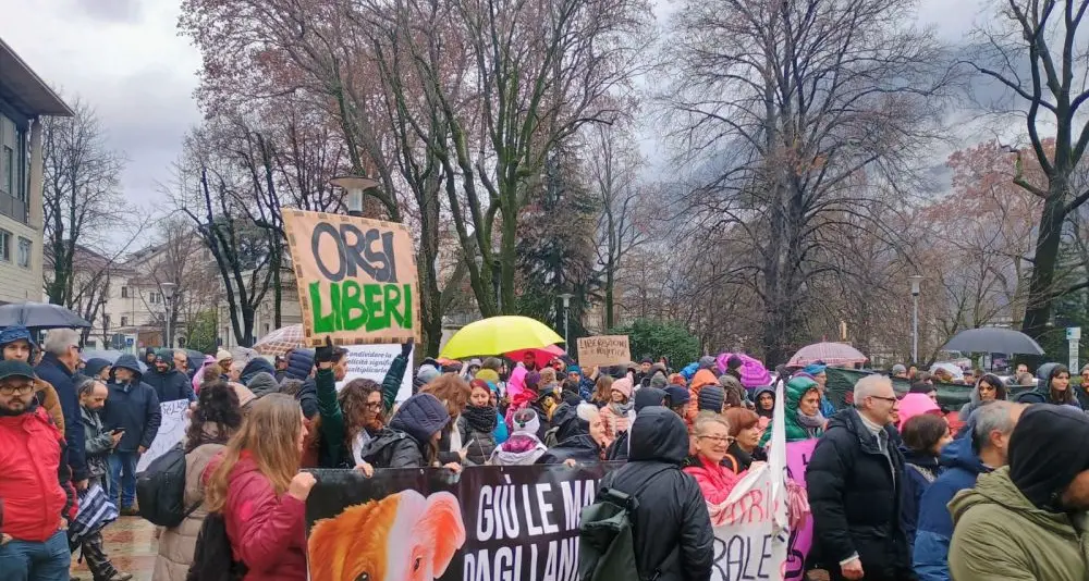 Orsi, centinaia in piazza a Trento. «Vaffa» a Fugatti e Ispra: «La montagna non diventi un villaggio turistico»