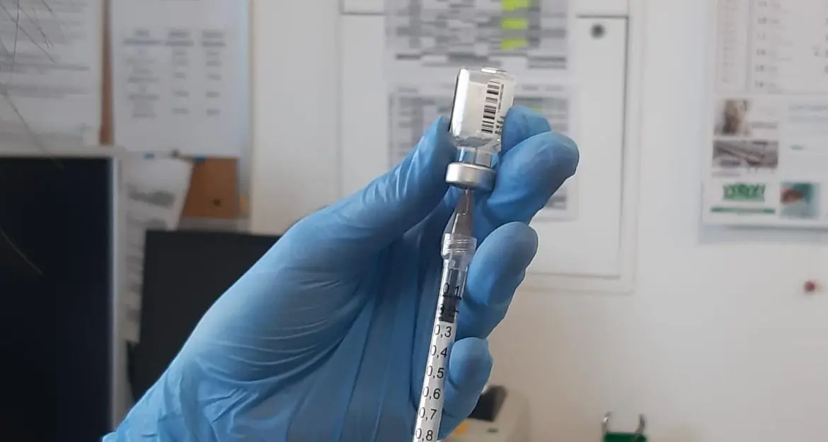 In Trentino l’immunità di gregge fra un mese: «Se avremo vaccinato tutti gli over 60 avremo messo in sicurezza la popolazione»