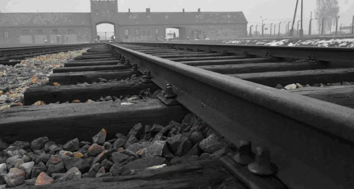 Le iniziative per il Giorno della Memoria