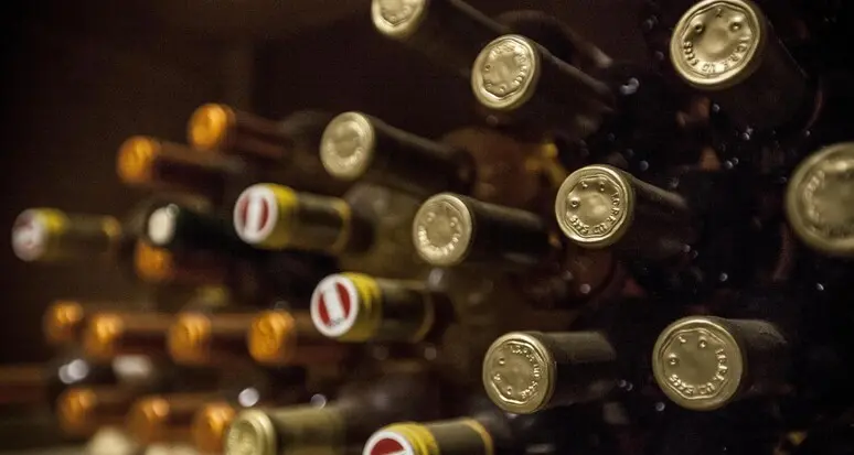 Ottimo bilancio per la Cantina Lavis Valle di Cembra