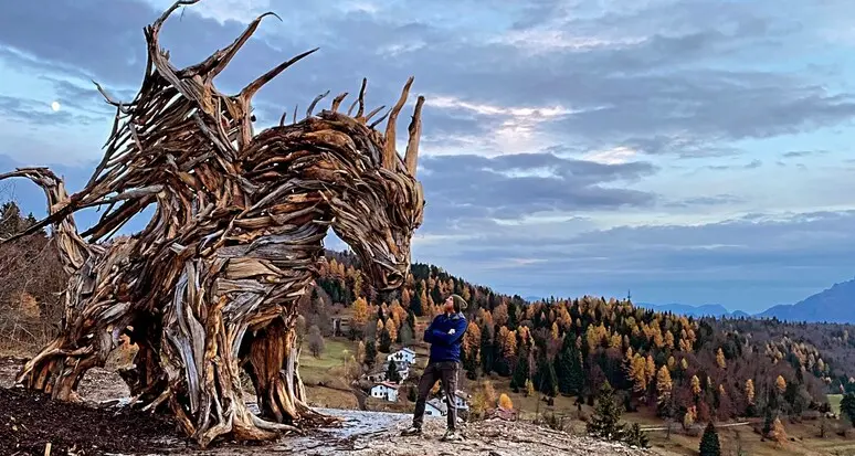 “Rinascita” del Drago Vaia, in due giorni donazioni per oltre 25 mila euro: la metà dell’obbiettivo