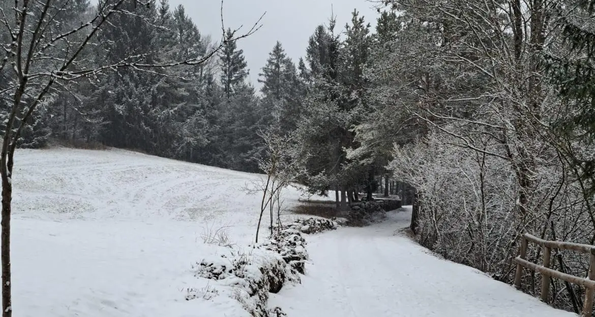 Temperature in picchiata in Trentino: neve sopra gli 800 metri di quota. Ma c’è anche il rischio grandine
