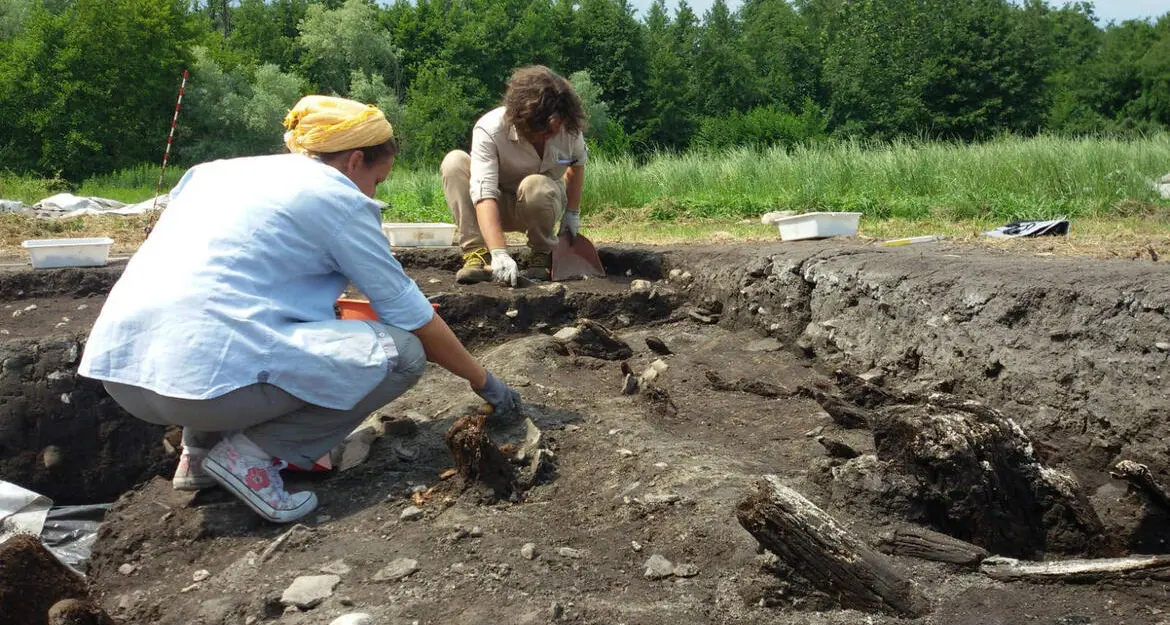 Desenzano, a rischio il sito archeologico del Lavagnone