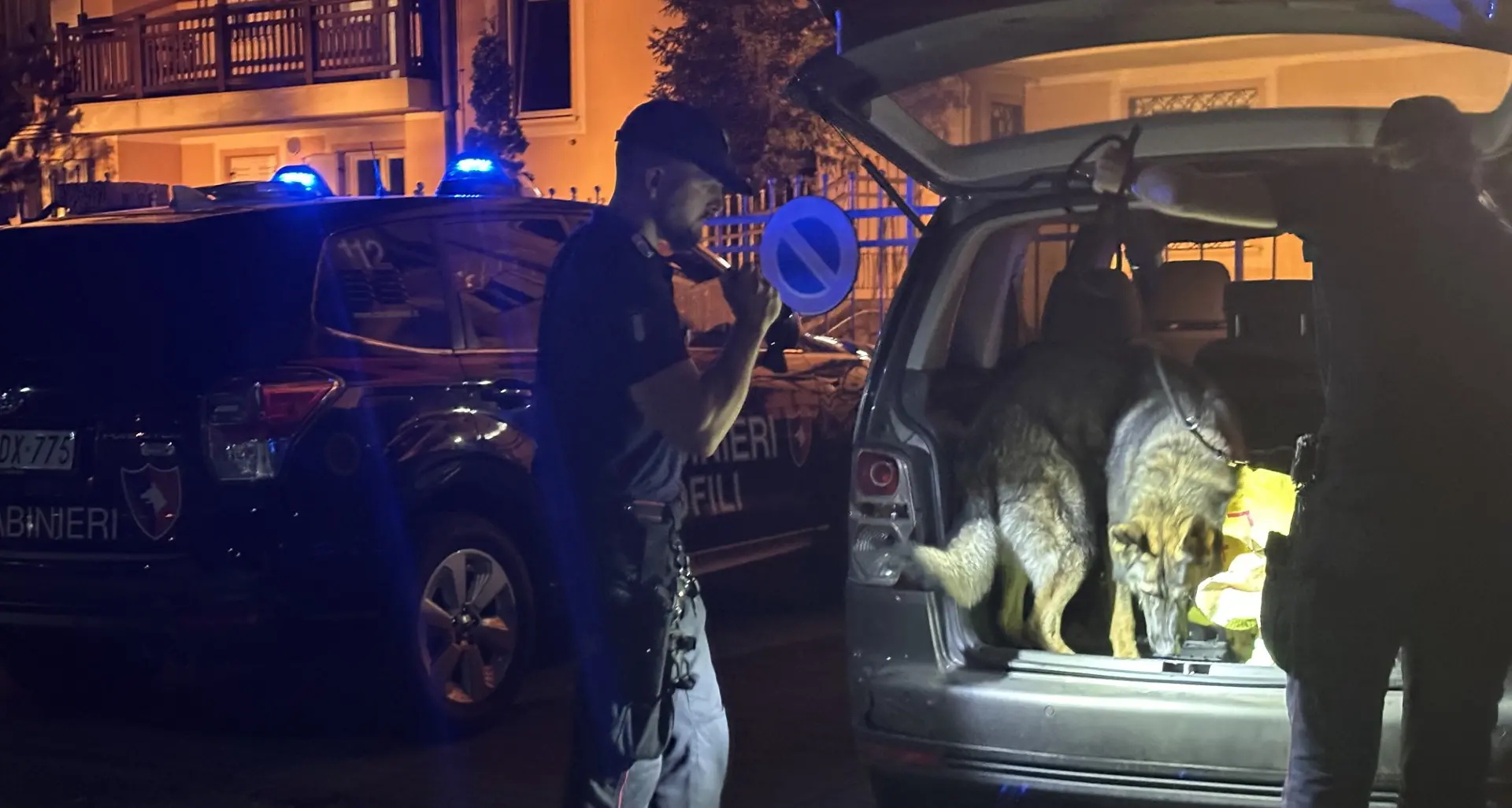 Val di Non, arrestato uno straniero rientrato in Italia dopo l’espulsione